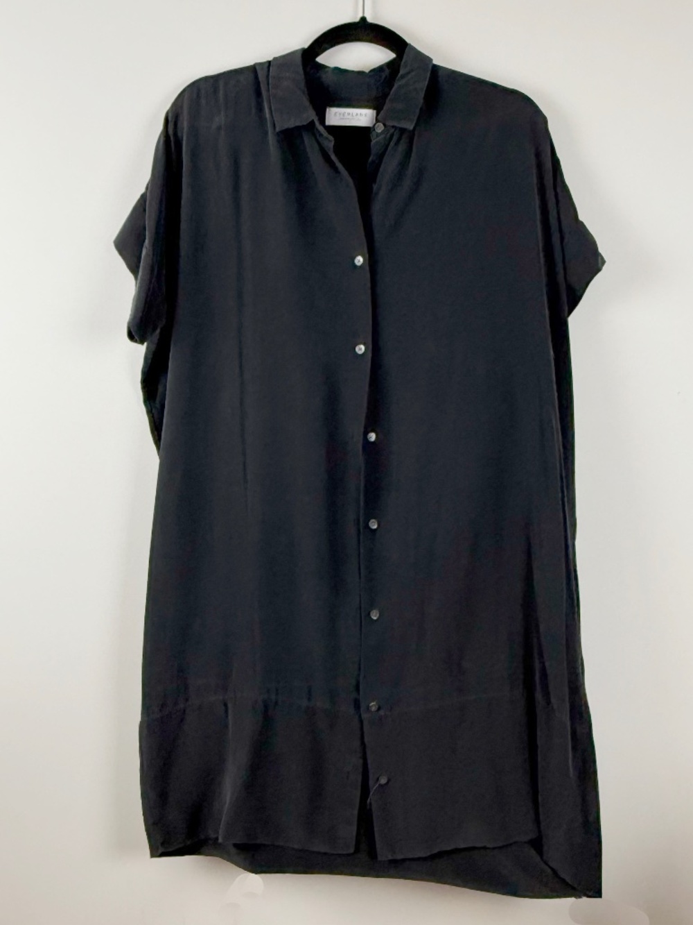 Everlane Black Silk dress, small